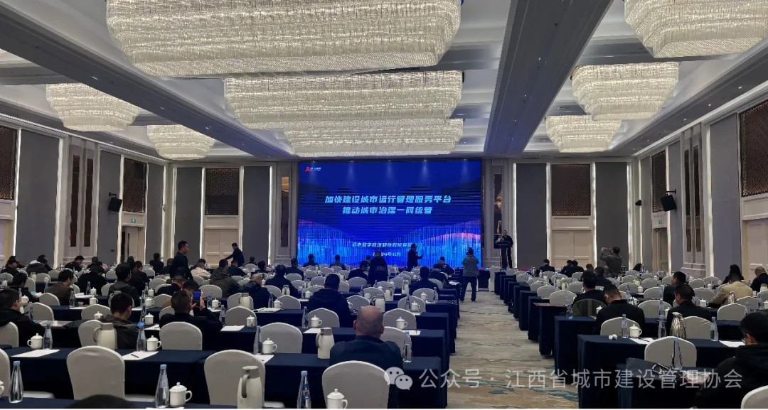 1733102644915166.jpg 2.jpg